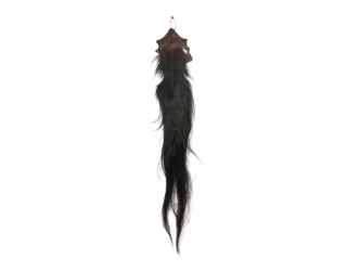 Tanned Horse Tail: Gallery Item 