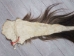 Tanned Horse Tail: Gallery Item - 18-06T-G4353 (Y1HRJ)