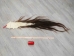 Tanned Horse Tail: Gallery Item - 18-06T-G4354 (Y1HRJ)