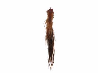 Tanned Horse Tail: Gallery Item 