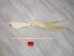Tanned Horse Tail: Gallery Item - 18-06T-G4355 (Y1HRJ)