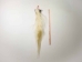 Tanned Horse Tail: Gallery Item - 18-06T-G4356 (Y1HRJ)