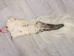 Tanned Horse Tail: Gallery Item - 18-06T-G4356 (Y1HRJ)