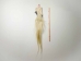 Tanned Horse Tail: Gallery Item - 18-06T-G4357 (Y1HRJ)
