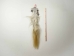 Tanned Horse Tail: Gallery Item - 18-06T-G4360 (Y1HRJ)