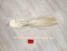 Tanned Horse Tail: Gallery Item - 18-06T-G4360 (Y1HRJ)