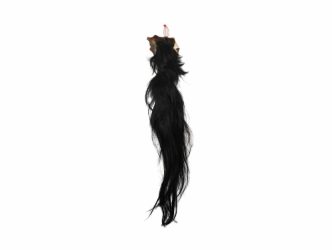 Tanned Horse Tail: Gallery Item 