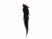 Tanned Horse Tail: Gallery Item - 18-06T-G4363 (Y1HRJ)