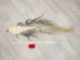 Tanned Horse Tail: Gallery Item - 18-06T-G4365 (Y1HRJ)