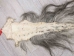 Tanned Horse Tail: Gallery Item - 18-06T-G4365 (Y1HRJ)