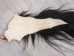 Tanned Horse Tail: Gallery Item - 18-06T-G4366 (Y1HRJ)