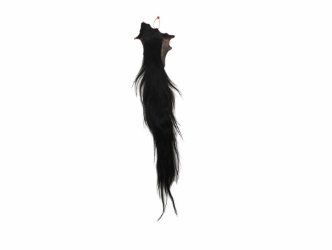 Tanned Horse Tail: Gallery Item 