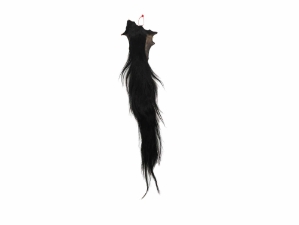 Tanned Horse Tail: Gallery Item 