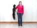 Tanned Horse Tail: Gallery Item - 18-06T-G4368 (Y1HRJ)