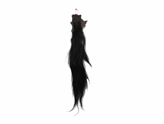 Tanned Horse Tail: Gallery Item 