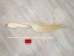 Tanned Horse Tail: Gallery Item - 18-06T-G4372 (Y1HRM)
