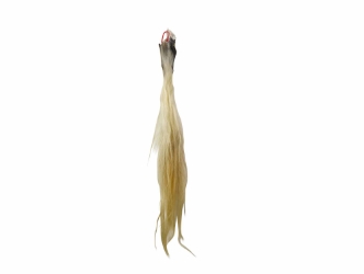 Tanned Horse Tail: Gallery Item 