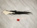 Tanned Horse Tail: Gallery Item - 18-06T-G4374 (Y1HRM)