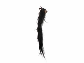 Tanned Horse Tail: Gallery Item 