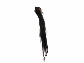 Tanned Horse Tail: Gallery Item 