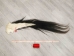Tanned Horse Tail: Gallery Item - 18-06T-G4378 (Y1HRM)