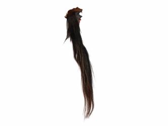 Tanned Horse Tail: Gallery Item 