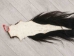 Tanned Horse Tail: Gallery Item - 18-06T-G4382 (Y1HRM)