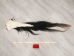 Tanned Horse Tail: Gallery Item - 18-06T-G4383 (Y1HRM)