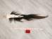 Tanned Horse Tail: Gallery Item - 18-06T-G4385 (Y1HRM)