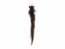 Tanned Horse Tail: Gallery Item - 18-06T-G4385 (Y1HRM)