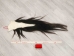 Tanned Horse Tail: Gallery Item - 18-06T-G4387 (Y1HRM)