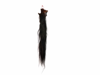 Tanned Horse Tail: Gallery Item 