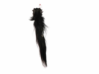 Tanned Horse Tail: Gallery Item 