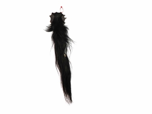 Tanned Horse Tail: Gallery Item 