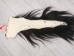 Tanned Horse Tail: Gallery Item - 18-06T-G4395 (Y1HRM)