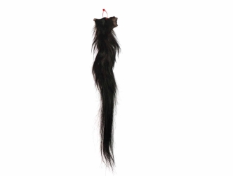 Tanned Horse Tail: Gallery Item 