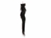 Tanned Horse Tail: Gallery Item - 18-06T-G4395 (Y1HRM)