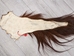 Tanned Horse Tail: Gallery Item - 18-06T-G4396 (Y1K)