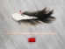 Tanned Horse Tail: Gallery Item - 18-06T-G4397 (Y1HRM)