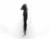 Tanned Horse Tail: Gallery Item - 18-06T-G4401 (Y1HRM)