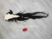 Tanned Horse Tail: Gallery Item - 18-06T-G4401 (Y1HRM)