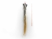 Tanned Horse Tail: Gallery Item - 18-06T-G4408 (Y1HRM)