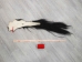 Tanned Horse Tail: Gallery Item - 18-06T-G4409 (Y1HRM)