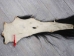 Tanned Horse Tail: Gallery Item - 18-06T-G4409 (Y1HRM)
