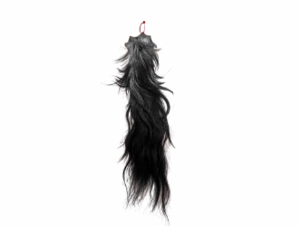 Tanned Horse Tail: Gallery Item 