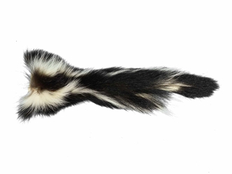 Real Tanned Skunk Tail: Extra Large: Gallery Item 