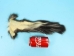 Real Tanned Skunk Tail: XL: Gallery Item - 18-SK-G4265 (Y1JRR)