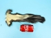 Real Tanned Skunk Tail: XL: Gallery Item - 18-SK-G4265 (Y1J)