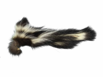 Real Tanned Skunk Tail: XL: Gallery Item 