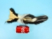 Real Tanned Skunk Tail: XL: Gallery Item - 18-SK-G4266 (Y1JRR)